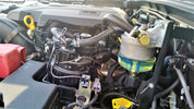 Specialist Tools AU Automotive Protection for Diesel Fuel Systems DIESEL WATER WATCH Water Trap/Separator Pre-Filter Electronic Water Detection - protection against Diesel Fuel Contamination Damage
